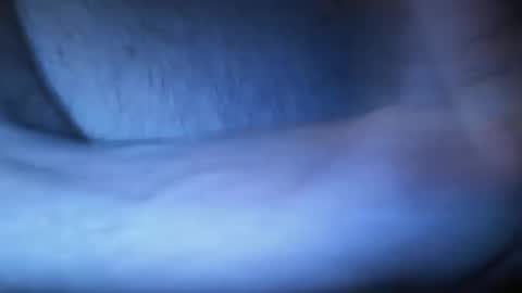   online show from January 2025 02:13:01 PM