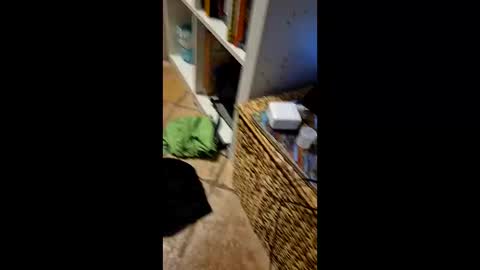 Snapshot of vinziiiii chatting on March 2026 02:17:01 AM Vinz online show from March 2026 02:17:01 AM