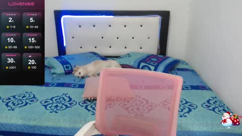 Violeta online show from December 2024 10:21:01 AM