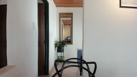 Vito Ferrer online show from February 2025 02:47:02 PM