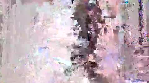 vitto_hammer5758 online show from February 2026 09:49:01 PM