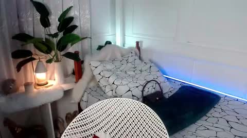 Vivian online show from February 2025 07:53:02 PM