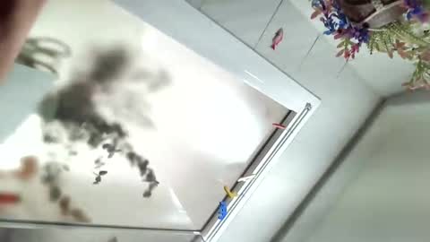 Snapshot of vivid_ether chatting on December 2024 11:54:02 AM Viv online show from December 2024 11:54:02 AM