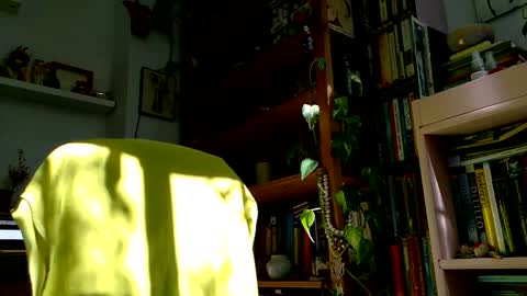 Snapshot of vivid_ether chatting on October 2025 12:09:02 PM Viv online show from October 2025 12:09:02 PM