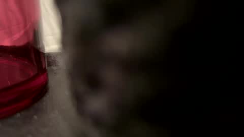 John online show from December 2024 05:21:02 PM