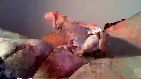 Snapshot of vukavuka99 chatting on December 2024 12:59:02 AM vukavuka99 online show from December 2024 12:59:02 AM