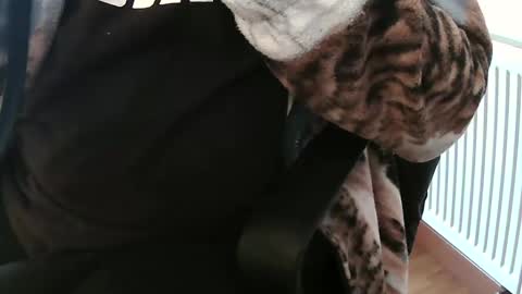 Snapshot of vulkan12p chatting on February 2025 02:10:01 PM Daniel online show from February 2025 02:10:01 PM