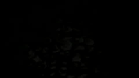 Snapshot of w2456 chatting on November 2025 11:38:01 PM w2456 online show from November 2025 11:38:01 PM