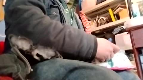 waffywaff77 online show from January 2025 11:58:02 PM