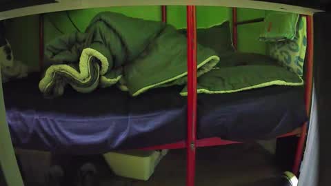 Snapshot of walltazv chatting on March 2026 05:01:02 AM Kentaro online show from March 2026 05:01:02 AM