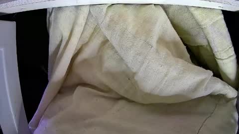 Snapshot of walltazv chatting on April 2026 04:48:02 AM Kentaro online show from April 2026 04:48:02 AM