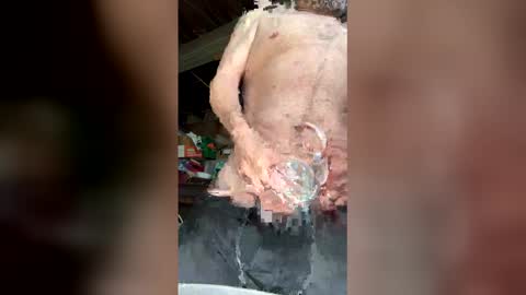 Snapshot of waltbkk chatting on March 2026 05:52:01 PM Walter online show from March 2026 05:52:01 PM