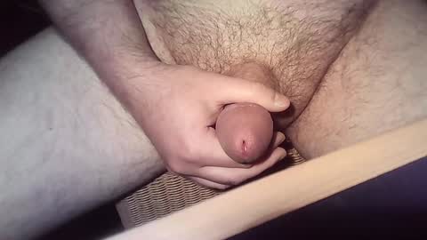 wanky83 online show from December 2024 04:51:02 PM