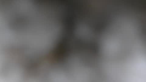 Snapshot of wantmymantofukme chatting on October 2025 06:19:02 PM wantmymantofukme online show from October 2025 06:19:02 PM