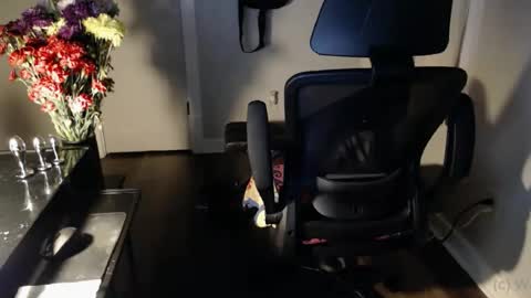 Snapshot of wasted_daze_ chatting on October 2025 10:34:02 AM wasted_daze_ online show from October 2025 10:34:02 AM