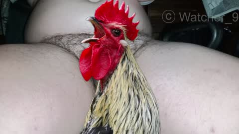 classified online show from December 2024 08:50:01 PM