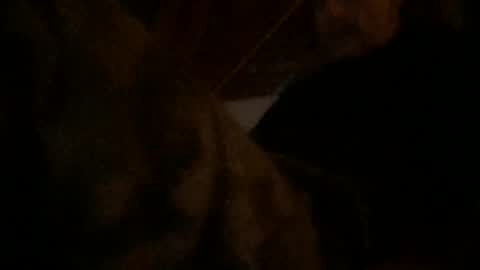 Snapshot of watchinggold chatting on July 2026 02:09:01 PM watchinggold online show from July 2026 02:09:01 PM