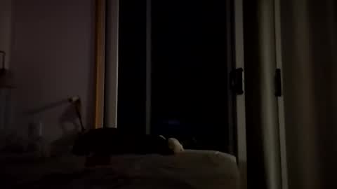 watershed111111 online show from January 2026 03:56:02 AM