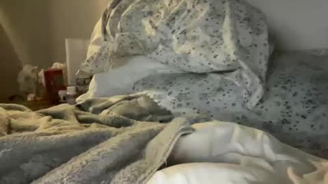 Snapshot of waveonce chatting on March 2026 11:32:01 AM waveonce online show from March 2026 11:32:01 AM