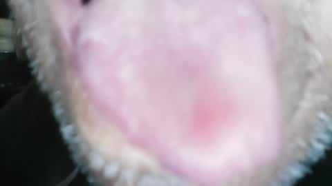 Snapshot of wayne1311 chatting on January 2025 04:26:01 PM wayne1311 online show from January 2025 04:26:01 PM