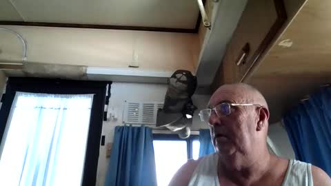 wazahardon2 online show from September 2025 03:51:01 AM