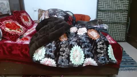 khushiwife kabirhubby kavyasexy gf online show from December 2024 12:08:02 PM