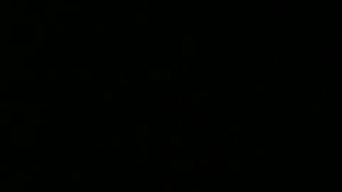 weeskank online show from October 2025 06:17:01 PM