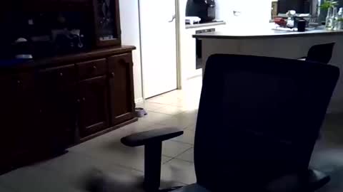 Snapshot of wellhelloo chatting on February 2026 12:36:01 PM Wellhelloo online show from February 2026 12:36:01 PM