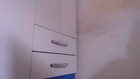 wellingtont online show from November 2025 10:24:01 AM