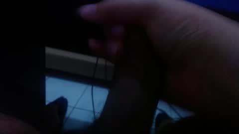 wellingtont online show from January 2026 07:35:02 AM