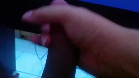 wellingtont online show from February 2026 09:58:02 AM