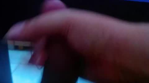 wellingtont online show from February 2026 11:40:02 AM