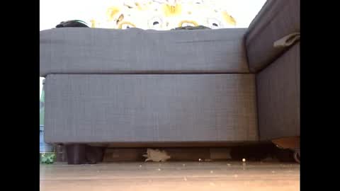 wet_pants2022 online show from March 2025 04:46:01 PM