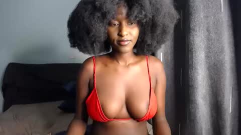 Macey online show from November 2025 06:57:01 AM