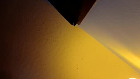 wetduck77777 online show from April 2026 09:15:01 AM