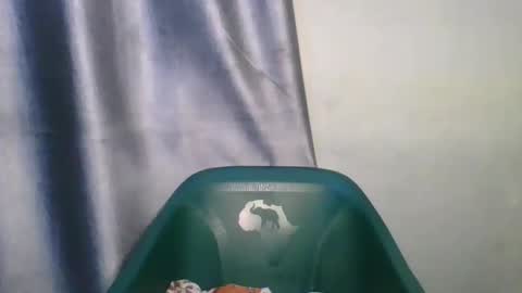 Snapshot of wetfatpussy_ chatting on February 2026 06:58:01 PM wetfatpussy_ online show from February 2026 06:58:01 PM