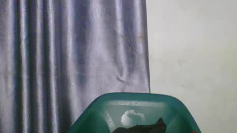 Snapshot of wetfatpussy_ chatting on March 2026 06:59:01 PM wetfatpussy_ online show from March 2026 06:59:01 PM