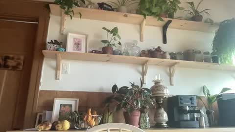 WhiskyLove online show from November 2025 04:50:01 PM