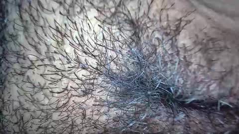 white_sexy_ online show from November 2025 10:15:02 AM