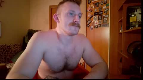 Snapshot of whitebull97 chatting on February 2026 06:11:02 PM WhiteBull online show from February 2026 06:11:02 PM