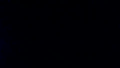 whitehead_lion online show from January 2025 02:00:01 PM