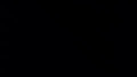 whitehead_lion online show from February 2025 05:31:01 PM