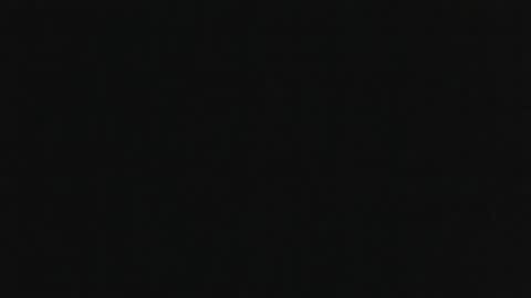 whitehead_lion online show from November 2025 11:59:01 PM