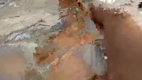 whitelava_4u online show from November 2025 08:18:01 AM