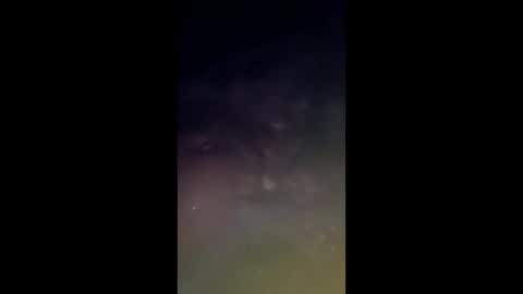 whiteoak19522 online show from March 2026 09:58:02 AM