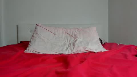 Snapshot of whitepumaari chatting on January 2025 03:26:02 PM Ari online show from January 2025 03:26:02 PM