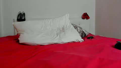 Snapshot of whitepumaari chatting on January 2025 08:54:01 AM Ari online show from January 2025 08:54:01 AM