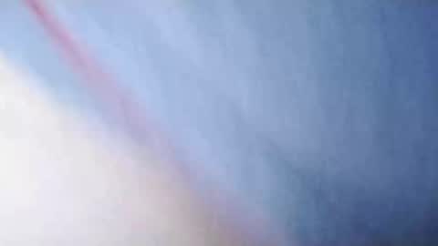 Whitezilla20cm online show from December 2024 11:33:01 AM