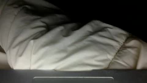 wholesomebull00 online show from November 2025 04:55:01 AM