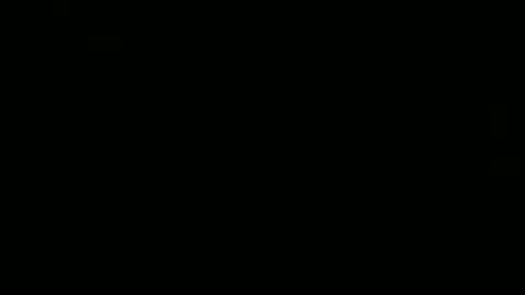 whoopthereitis8 online show from November 2025 12:24:01 AM